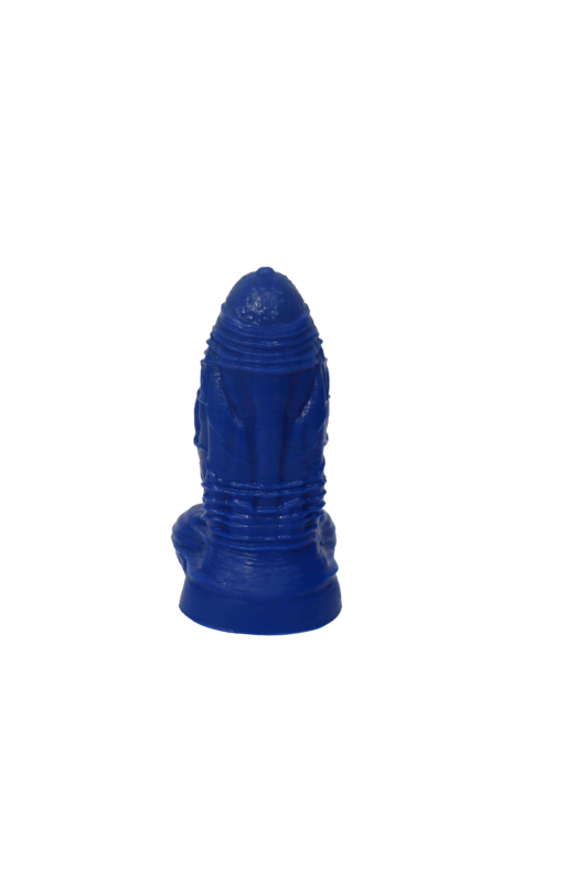 RICARDO BLUE L